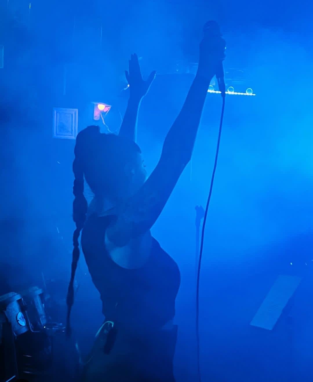 Cantante para eventos en Gandía, Lady Fox en concierto
